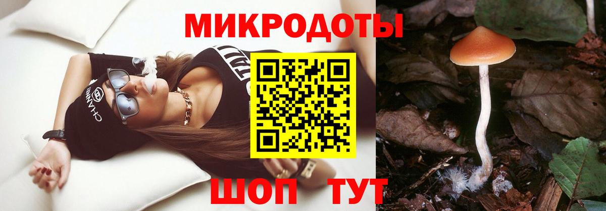 Псилоцибиновые грибы Cubensis Самара